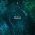 Go Dilla (feat. Niman)