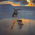 17 лет (feat. Rauf & Faik)