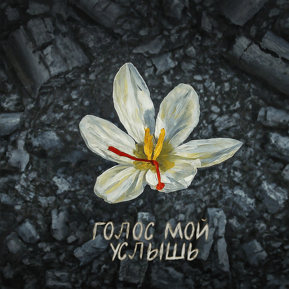 Твои следы (Your Traces)