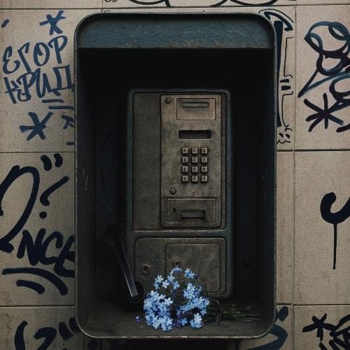 Незабудки (Forget-me-nots)