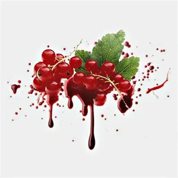 Красная смородина (Red currant)