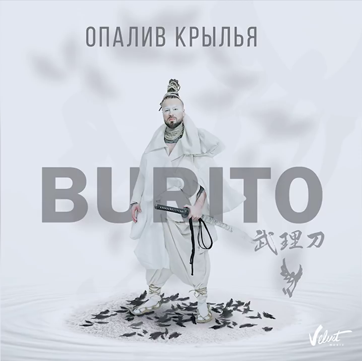 Опалив крылья (Having Scorched Wings)