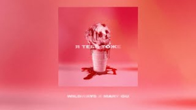 Клип Mary Gu - Wildways & Mary Gu — Я тебя тоже (Official Lyric Video)