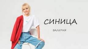 Клип Валерия - Синица