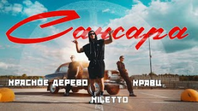 Клип NILETTO - Кравц, Красное Дерево, NILETTO — Сансара